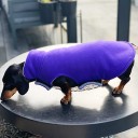 Thermawarm coat - Purple 